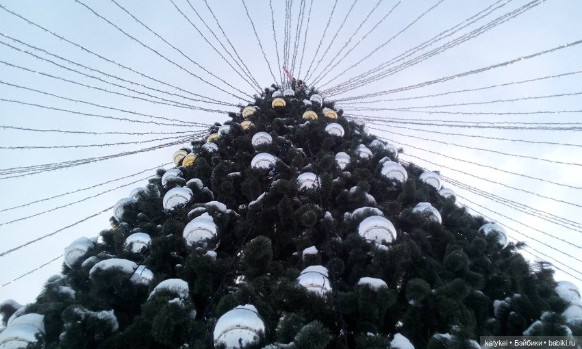 Как Риша ходила шарики смотреть (фото 9)