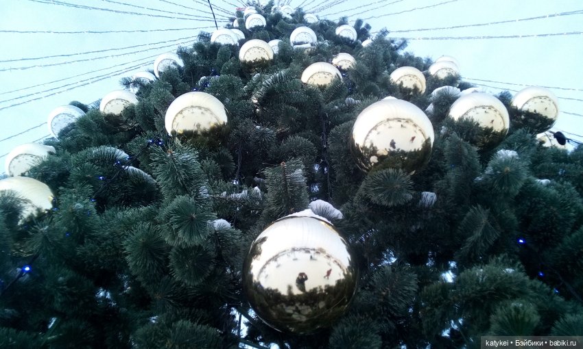 Как Риша ходила шарики смотреть