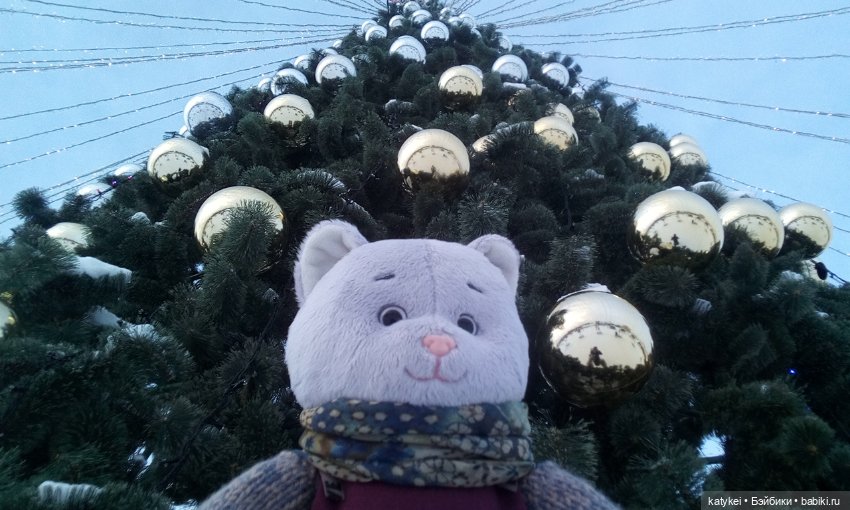 Как Риша ходила шарики смотреть