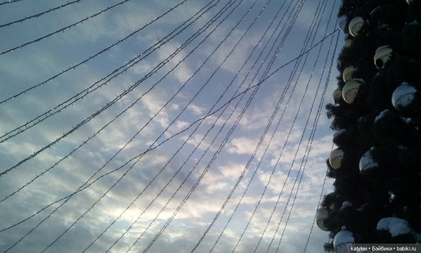 Как Риша ходила шарики смотреть