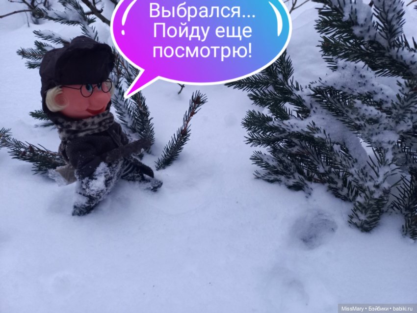 "Веселые картинки". В лес за ёлкой