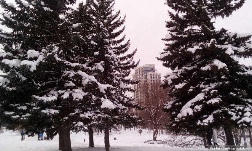 Как Риша ходила шарики смотреть