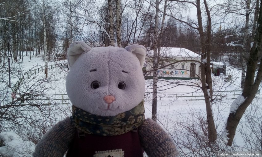 Как Риша ходила шарики смотреть