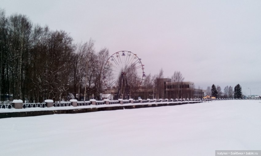 Как Риша ходила шарики смотреть