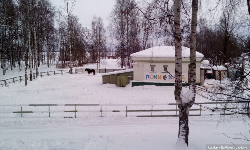 Как Риша ходила шарики смотреть