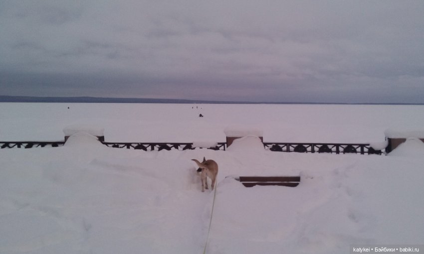 Как Риша ходила шарики смотреть