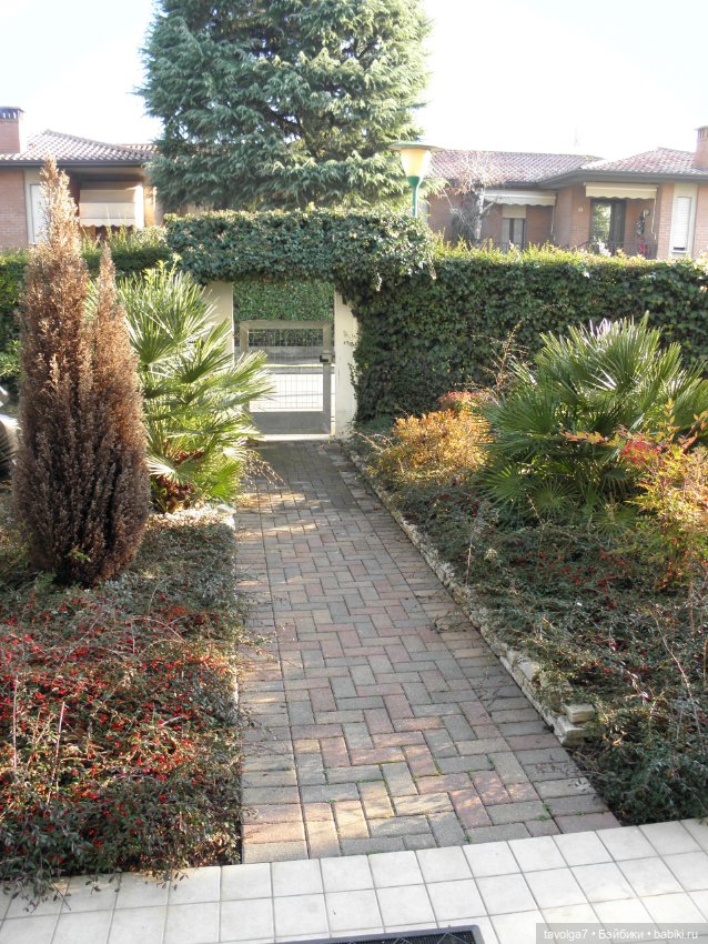 С Новым Годом от девочки по имени Радость из Венеции (фото 2)