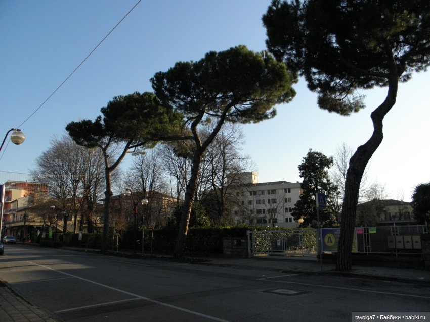 С Новым Годом от девочки по имени Радость из Венеции (фото 7)