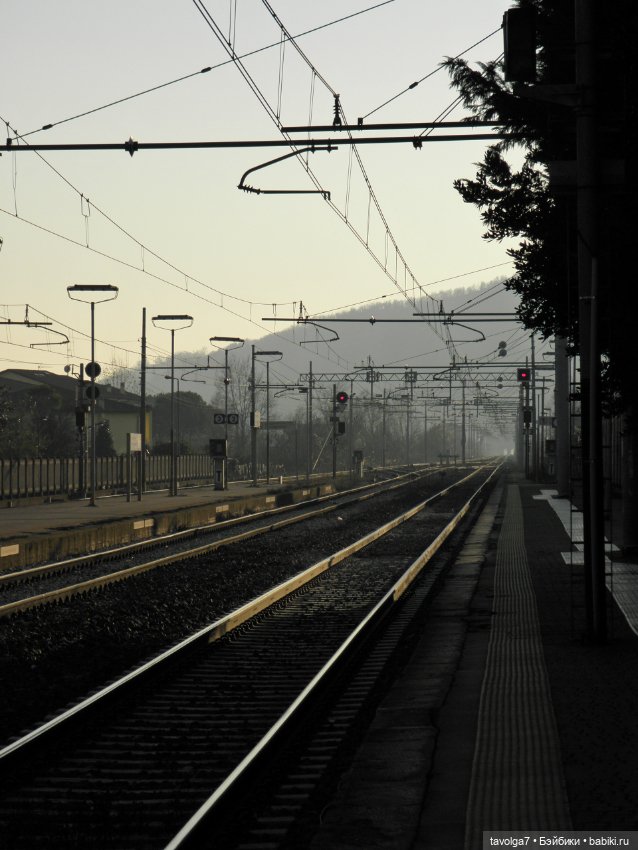 С Новым Годом от девочки по имени Радость из Венеции (фото 10)