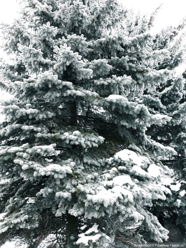 С Новым годом всех — Винтажные куклы ГДР (Немки): Бигги (фото 2)