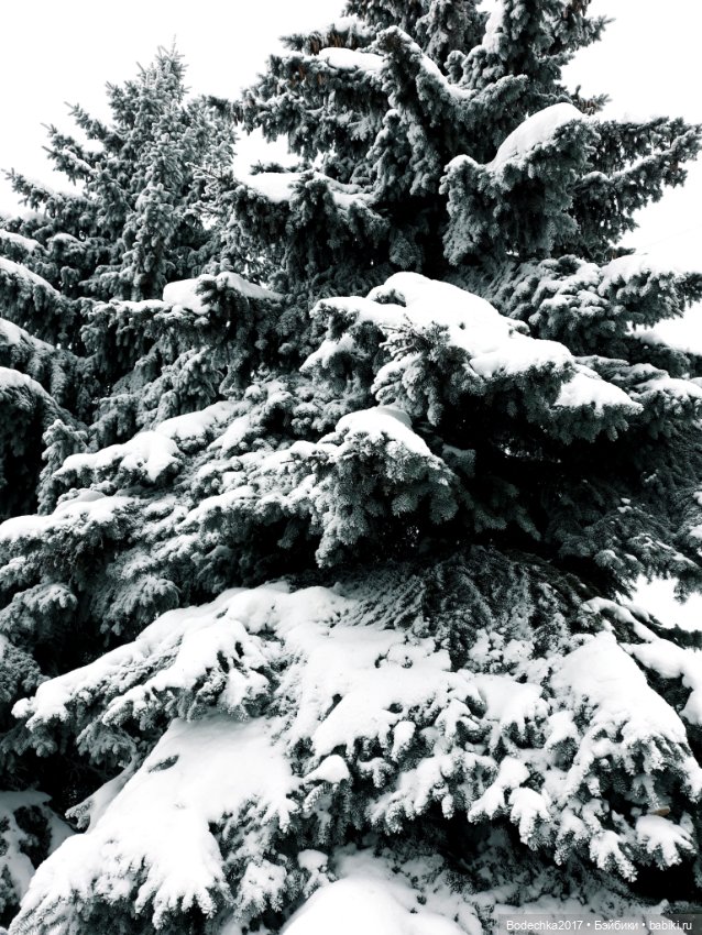 С Новым годом всех — Винтажные куклы ГДР (Немки): Бигги