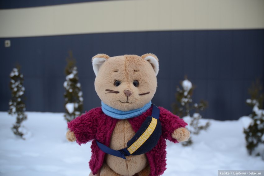 Провозить ручную кладь разрешается (постконкурс)