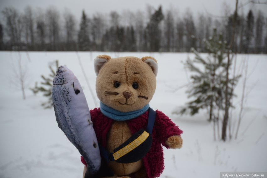 Провозить ручную кладь разрешается (постконкурс) (фото 8)