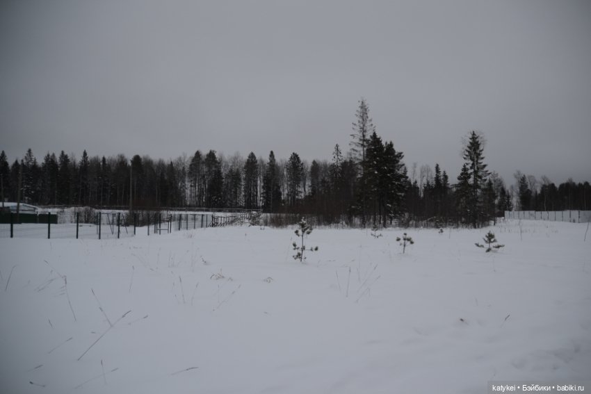 Провозить ручную кладь разрешается (постконкурс)