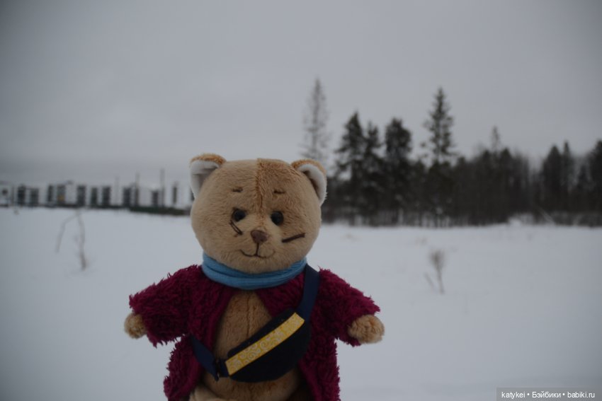 Провозить ручную кладь разрешается (постконкурс)