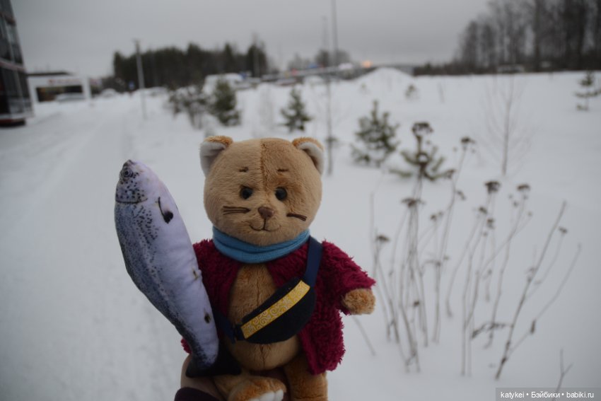 Провозить ручную кладь разрешается (постконкурс) (фото 6)