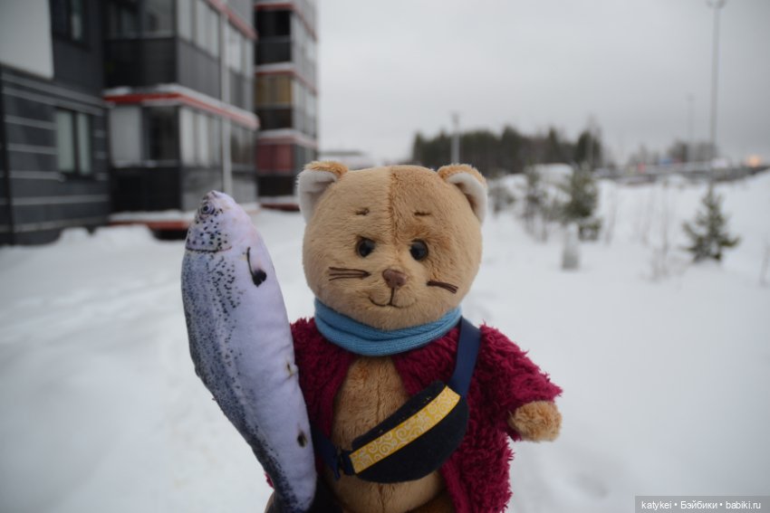 Провозить ручную кладь разрешается (постконкурс) (фото 7)