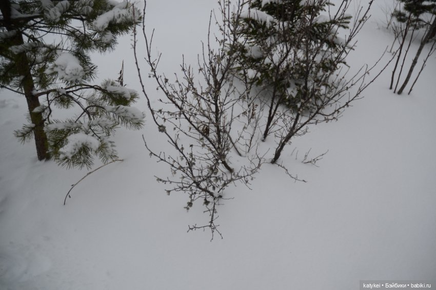 Провозить ручную кладь разрешается (постконкурс) (фото 9)