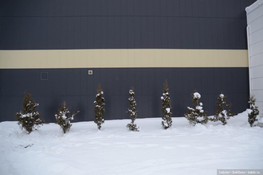 Провозить ручную кладь разрешается (постконкурс)