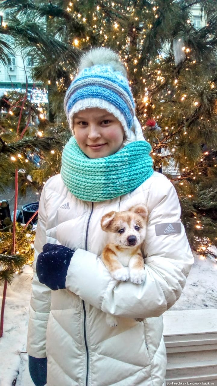 Реалистичная игрушка - щенок акита-ину Доминик (фото 2)