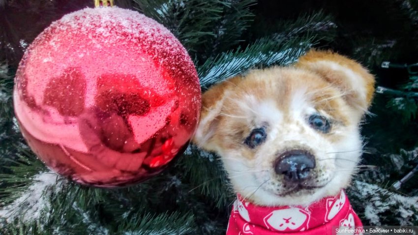 Реалистичная игрушка - щенок акита-ину Доминик