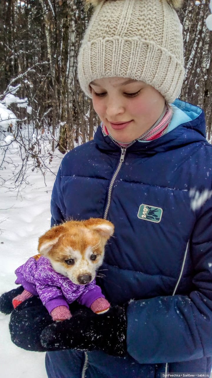 Реалистичная игрушка - щенок акита-ину Доминик (фото 9)