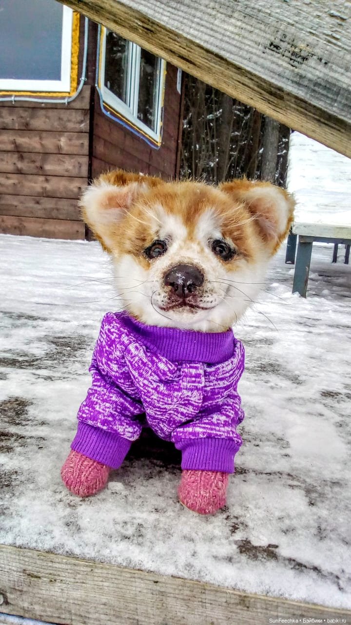 Реалистичная игрушка - щенок акита-ину Доминик (фото 10)