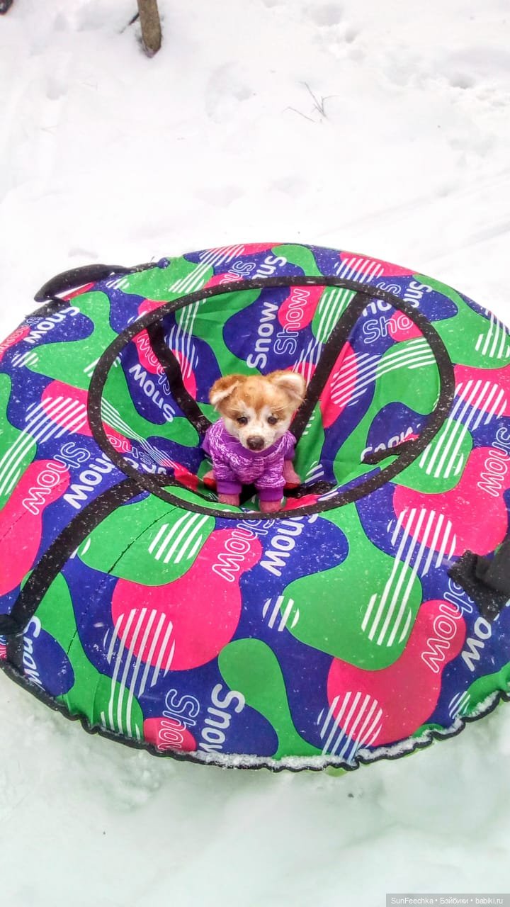 Реалистичная игрушка - щенок акита-ину Доминик