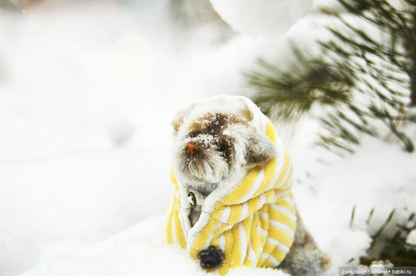 Маленький мокрый носик - ещё фото (фото 5)