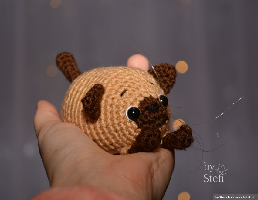 Покажу нашего нового члена семьи. И новую игрушку, конечно. Очередной котофейка связался (фото 2)