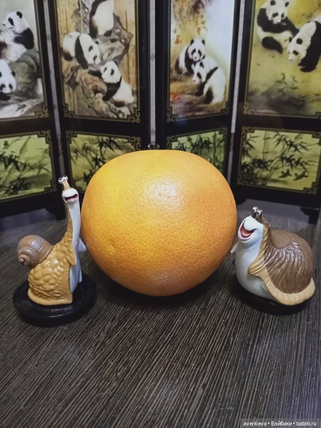 Тимон и Пумба. Или нашествие брюхоногих моллюсков (фото 7)