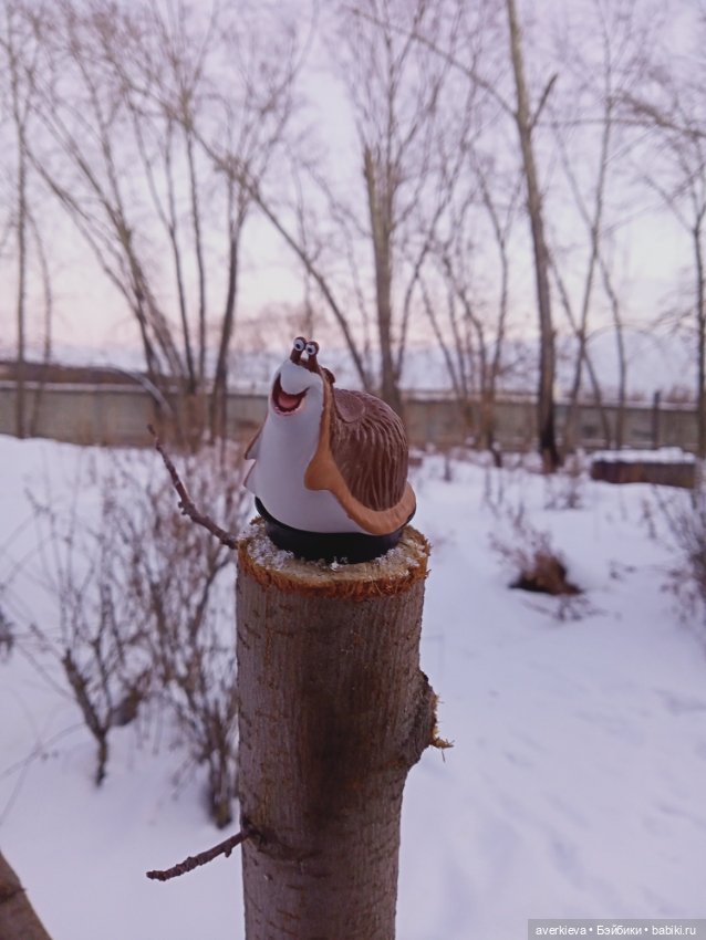 Тимон и Пумба. Или нашествие брюхоногих моллюсков