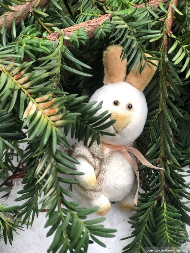 Бабайкины детки — Домашние фото авторских игрушек: Тедди