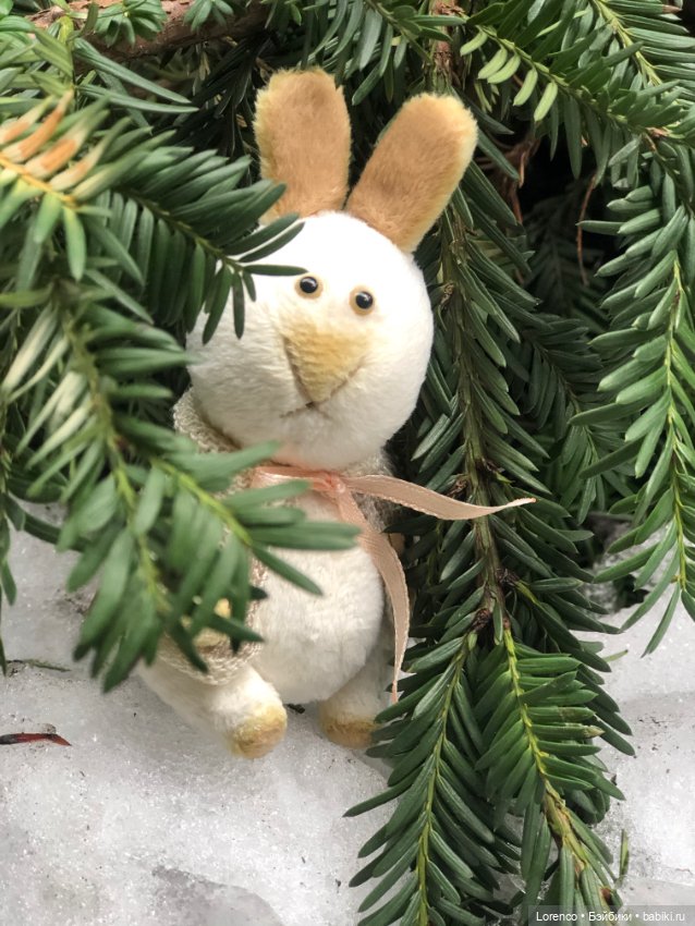 Бабайкины детки — Домашние фото авторских игрушек: Тедди