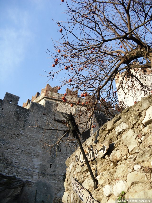 Бефана! С Праздником всех, кто празднует (фото 4)