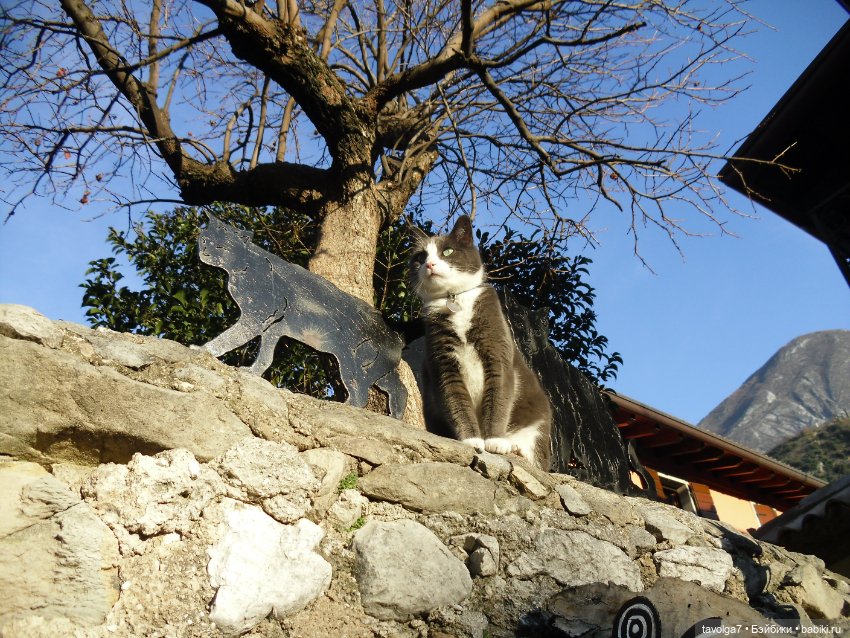 Бефана! С Праздником всех, кто празднует (фото 6)