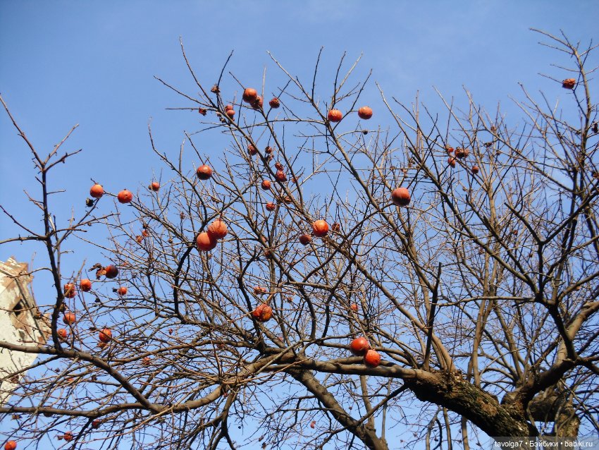 Бефана! С Праздником всех, кто празднует (фото 5)