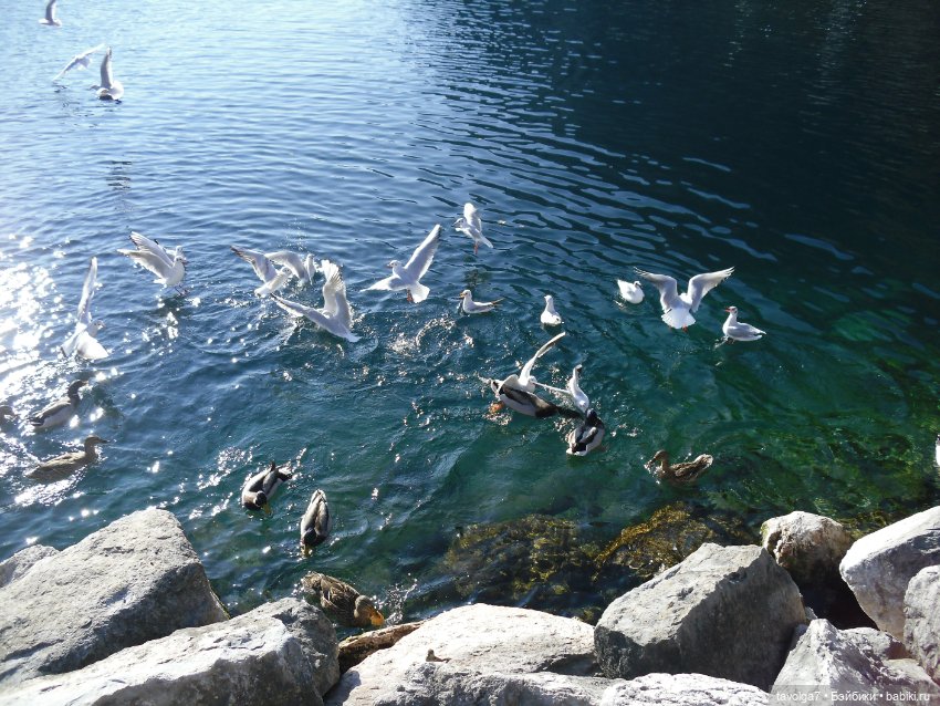 Бефана! С Праздником всех, кто празднует