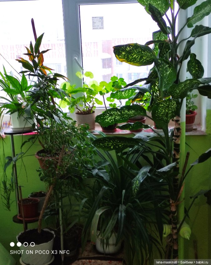 Поездка малышки Вишеньки в город Чехов