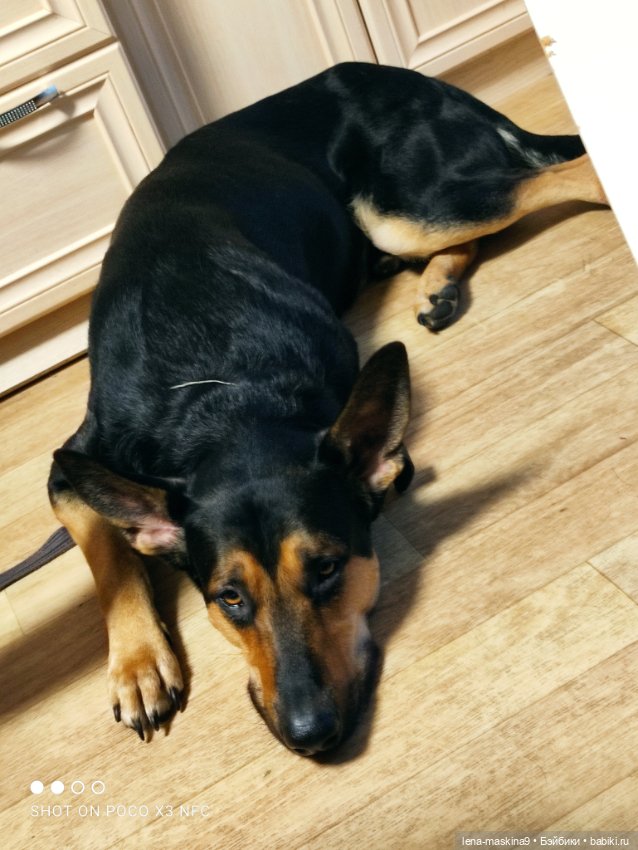 Поездка малышки Вишеньки в город Чехов