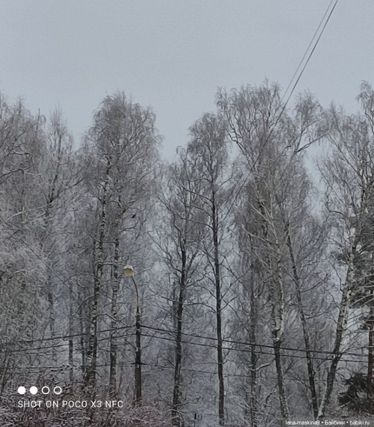 Продолжение поездки Вишеньки ,в город Чехов
