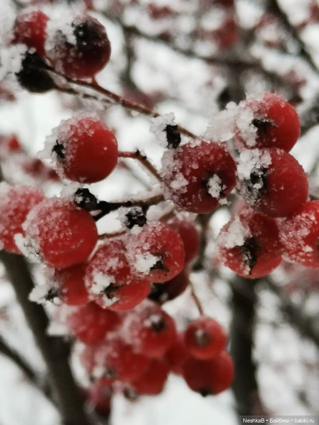 Зима - время чудес!❄🎄⛄ — Советские винтажные куклы (СССР): Ленигрушка (фото 10)