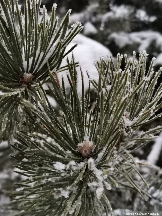 Зима - время чудес!❄🎄⛄ — Советские винтажные куклы (СССР): Ленигрушка (фото 5)