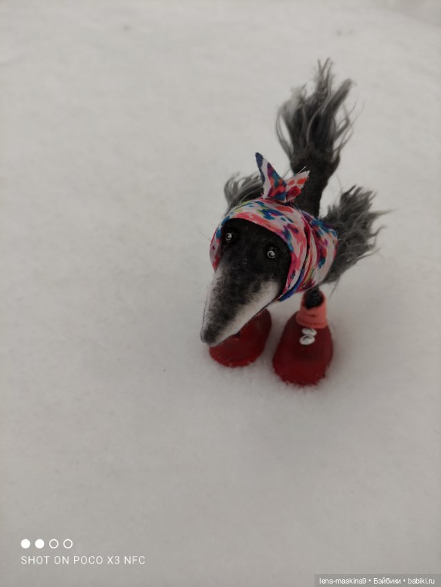 Лес, вороны Клара, Клавдия и их бабушка Евдокия (фото 3)