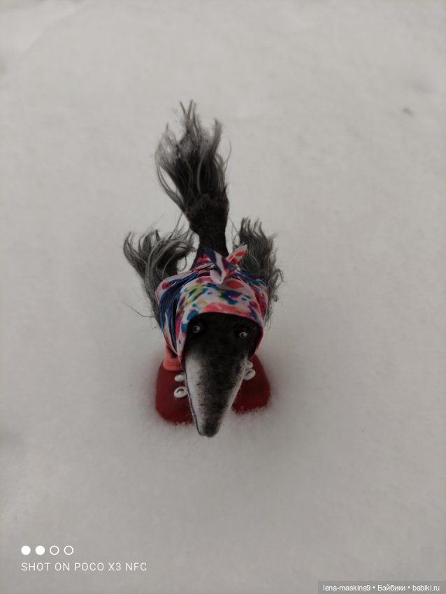 Лес, вороны Клара, Клавдия и их бабушка Евдокия (фото 6)