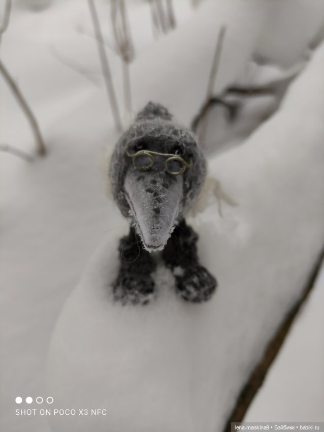 Лес, вороны Клара, Клавдия и их бабушка Евдокия