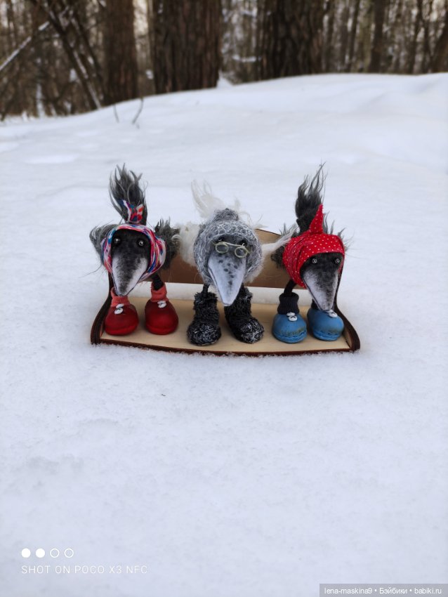 Лес, вороны Клара, Клавдия и их бабушка Евдокия