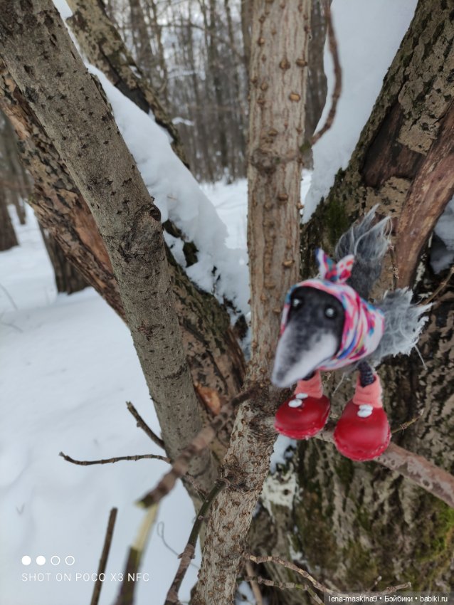 Лес, вороны Клара, Клавдия и их бабушка Евдокия