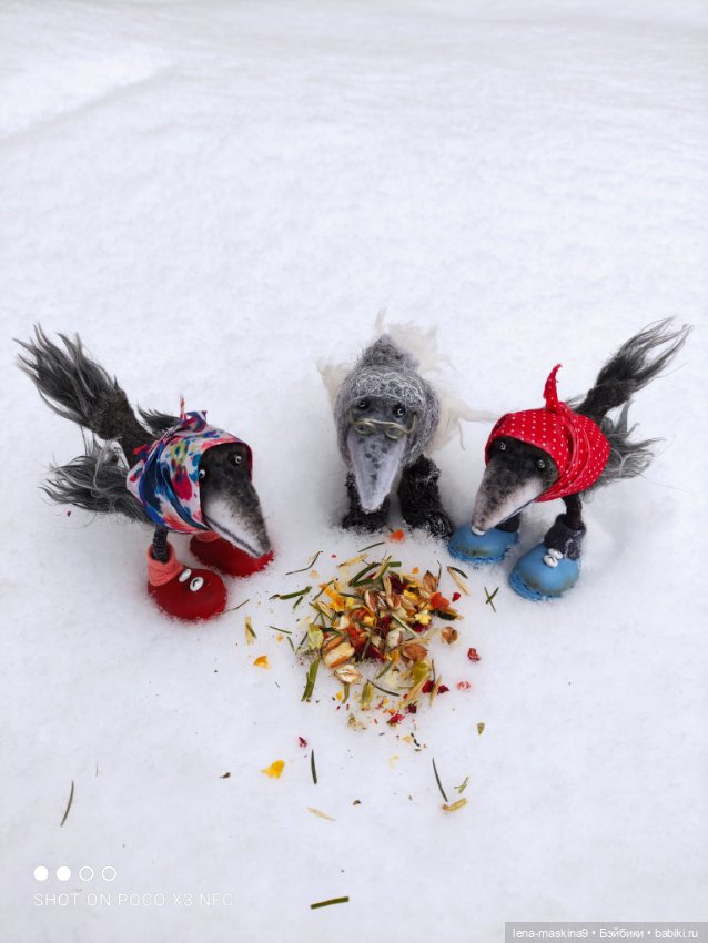 Лес, вороны Клара, Клавдия и их бабушка Евдокия