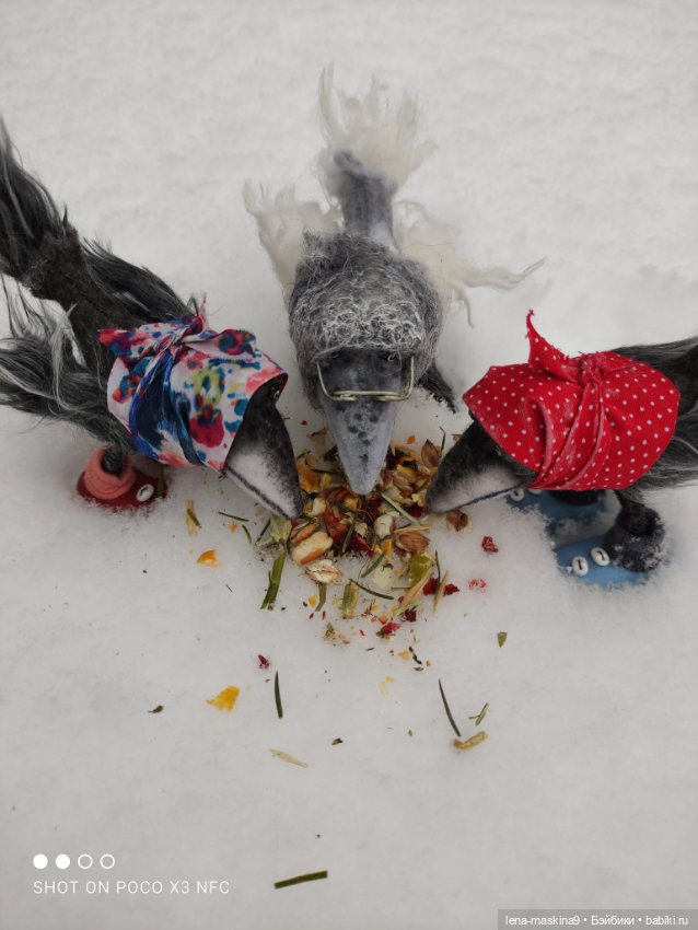 Лес, вороны Клара, Клавдия и их бабушка Евдокия